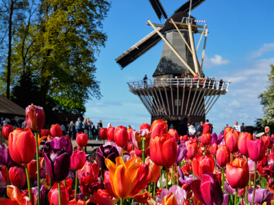 L’Olanda dei tulipani, Amsterdam e la Valle del Reno