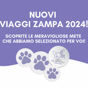 Nuovi Viaggi Zampa 2024!