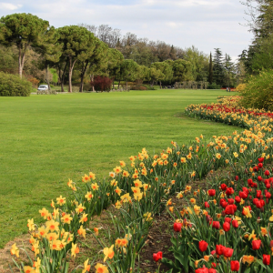 Tulipanomania al Parco Sigurtà e Borghetto sul Mincio